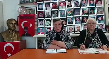 Şehit Anaları Derneği Başkanı Pakize Alp Akbaba: Hani Demişlerdi ya 'Haydi Al Anneni, Git' Alın Annenizi, Sandığa Gelin
