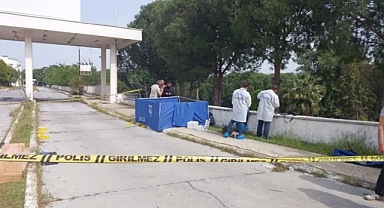 Yol Kenarında Ölü Bulunan Kadının Katili Kanlı Kılıfları Değiştirirken Yakalandı