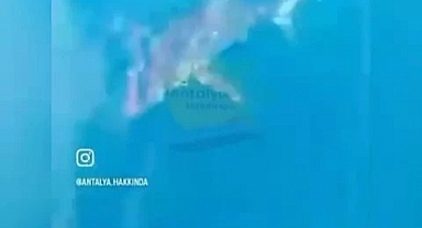 Antalya'da Konyaaltı Sahili Açıklarında Köpek Balığı Görüntülendi