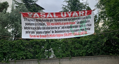Başıboş Hayvanları Beslemek İçin 'Yasal Uyarı' Afişi Astılar
