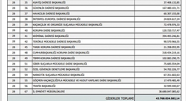 Bir Ayda Cumhurbaşkanlığı Koruma'ya 328 Milyon, Terörle Mücadele'ye 90 Milyon Lira Harcama Yapıldı