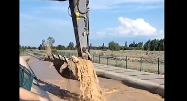 Iğdır'da Su Kanalına Düşen Dana Böyle Kurtarıldı