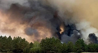 Kazakistan'da Orman Yangını 