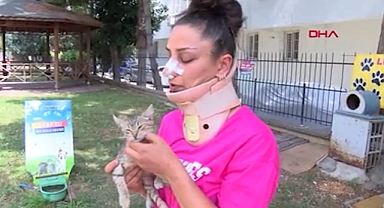 Kedilere Saldıran Pitbull'un Sahibini Uyarınca Burnu Kırıldı