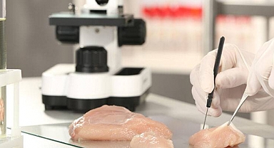 Laboratuvarda Üretilen Tavuk Etine ABD'den Satış İzni 