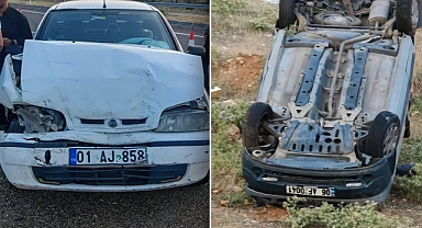 Yola Çıkan Başıboş Köpek Kazaya Neden Oldu: 1 Ölü, 2 Yaralı