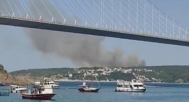 Beykoz'da Orman Yangını
