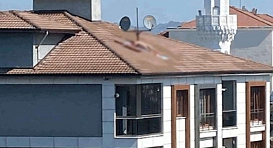 Çatıda Çıplak Güneşlenmenin Cezası Belli Oldu
