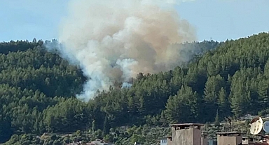 Muğla Yangınında Sabotaj Şüphesi