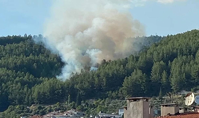 Muğla Yangınında Sabotaj Şüphesi