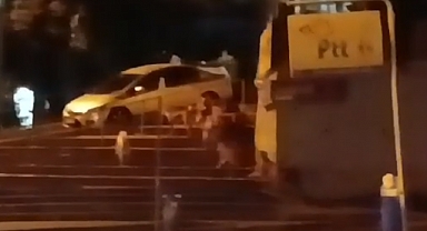 Ankara Sokakları Başıboş Köpeklere Teslim