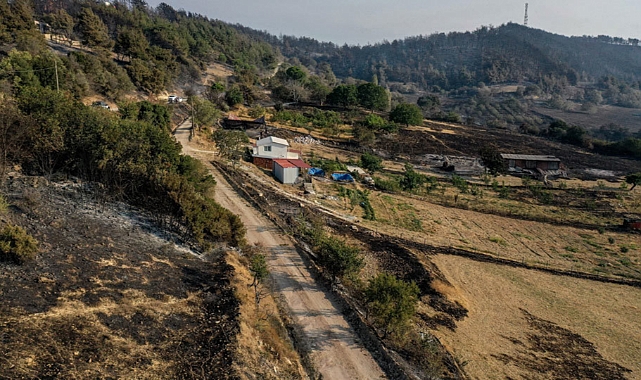 Bakan Yumaklı: Çanakkale'deki Yangının İlerlemesi Durduruldu