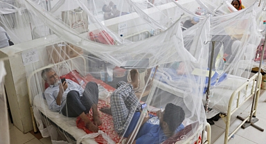Bangladeş'te Dang Hummasından Ölümler Artıyor