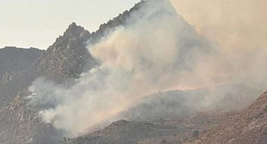 Bodrum'da Makilik Alanda Yangın: Havadan ve Karadan Müdahale Sürüyor