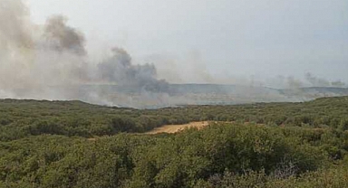 Çanakkale'de Bir Yangın Daha: Gelibolu Yarımadası'nda Makilik Alanda Yangın Çıktı