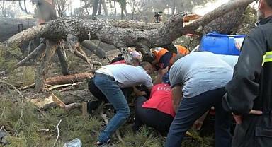 Çanakkale'de Yangına Müdahale Eden Görevli Devrilen Ağacın Altında Kaldı