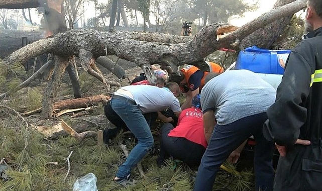 Çanakkale'de Yangına Müdahale Eden Görevli Devrilen Ağacın Altında Kaldı