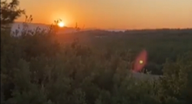 Çanakkale'de Yangından Kaçan Hayvanlar Avcıların Hedefi Oldu 