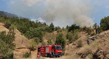 Çankırı'da Orman Yangını