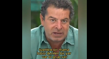 Cüneyt Özdemir: Sokak Köpeklerini Konuşamıyorsunuz, Bir Mama Lobisi Var Öyle Bir Baskı Kuruyor ki
