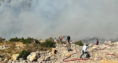 Diyarbakır'da Orman Yangını