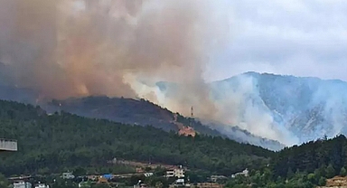 Hatay ve Balıkesir'de Orman Yangını