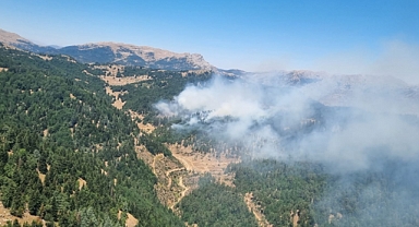 Kahramanmaraş'ta Orman Yangını
