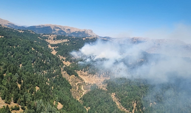 Kahramanmaraş'ta Orman Yangını