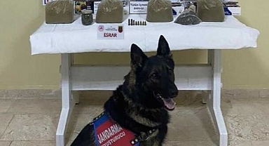 Kocaeli'de 4 Kilogram Esrar Ele Geçirildi: 2 Kişi Gözaltına Alındı