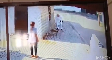 Mardin'de Yavru Köpeği Demir Çubukla Öldüren Cani Gözaltına Alındı