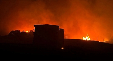 Marmara Adası'nda Makilik Alanda Yangın Çıktı