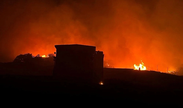 Marmara Adası'nda Makilik Alanda Yangın Çıktı