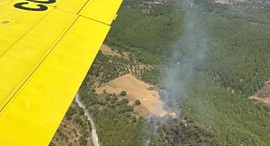 Muğla'da Orman Yangını