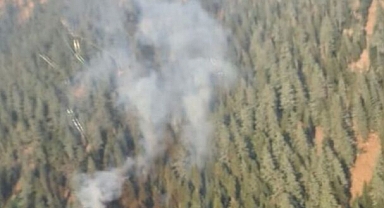 Osmaniye'de Orman Yangını Çıktı: Kontrol Altına Alınmaya Çalışılıyor