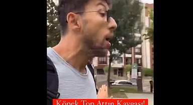 Paw Guards Elebaşı Burak Arslan, Çocuğunu Başıboş Köpekten Korumaya Çalışan Kadınla Kavga Etti