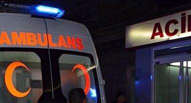 Yılan Tarafından Isırılan Genç, Yoğun Bakıma Alındı