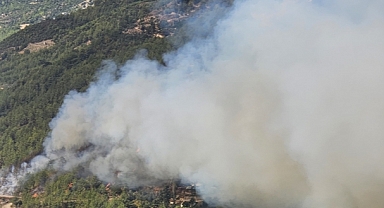 Alanya'da Orman Yangını