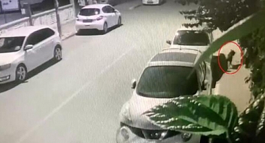 Antalya'da 'Başıboş Pitbull' Dehşeti