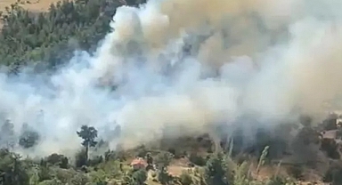 Antalya Kaş'ta Orman Yangını