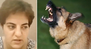Başıboş Köpekler İçin Halkı Tehdit Eden Şahıs Gözaltına Alındı