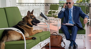 Biden'ın Köpeği 11. Gizli Servis Ajanını da Isırdı