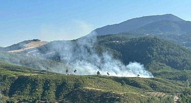 Denizli'de Orman Yangını