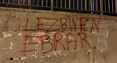 Ebrar Karakurt Kendisini Hedef Alan Duvar Yazılarını Paylaştı