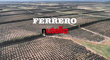 Ferrero'nun Avustralya'daki Fındık Tarlaları Gündem Oldu