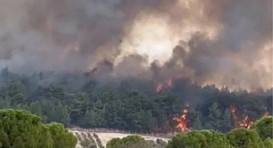 İzmir'de Orman Yangını Çıktı