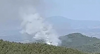 Kütahya'da Orman Yangını