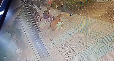 Manisa'da 'Başıboş Pitbull' Dehşeti