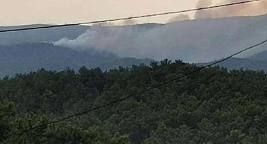 Marmaris'te Orman Yangını