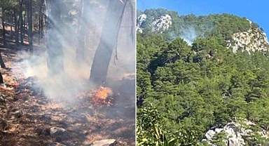 Muğla'da Orman Yangını