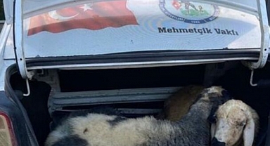 Tunceli'de Kendilerini Asker Olarak Tanıtıp Dolandırıcılık Yapan 2 Kişi Yakalandı